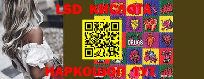 apvp Рыбинск