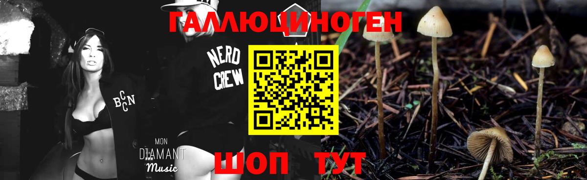 Галлюциногенные грибы Psilocybine cubensis  Вход с VPN  Ярославль 